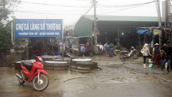 Chợ cá đầu mối lớn nhất Hà Nội không ai quản lý