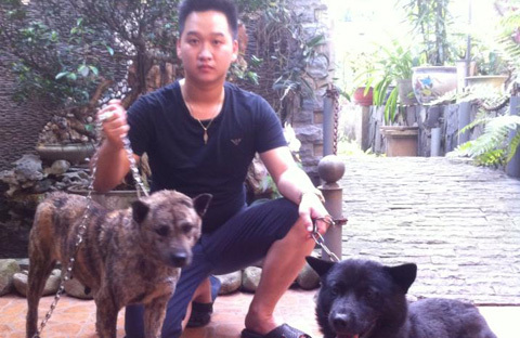Dân chơi Hà thành 'lùng' chó săn cổ xưa