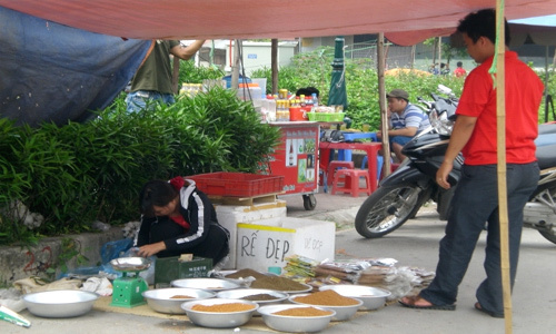 Kiếm sống từ dự án nghìn tỷ bỏ hoang