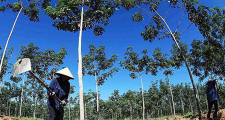 Doanh nhân xoay đủ cách thoát đình đốn