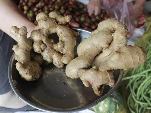 'Ăn 0,8 kg gừng Trung Quốc mỗi ngày mới nguy hại'