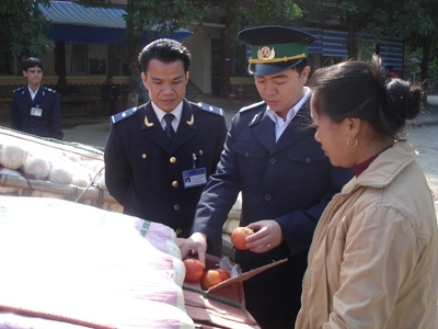 Gần 400 tấn gừng Trung Quốc qua cửa khẩu Tân Thanh