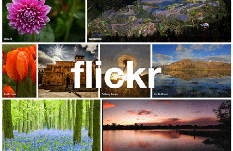 Người dùng Flickr: Chúng tôi ghét giao diện mới!