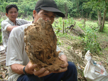 Đời phu trầm săn giấc mơ tỷ phú