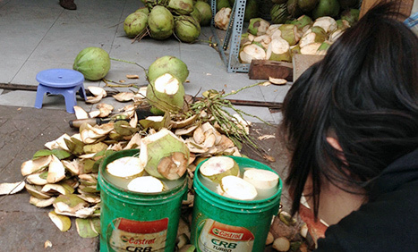 Dừa tẩy trắng độc hại