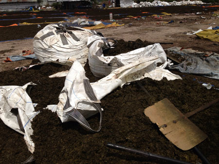 'Trà ướp xác' tung hoành thị trường