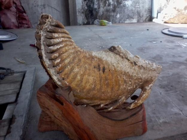 Những hàng hóa Việt Nam kỳ quái rao bán trên mạng