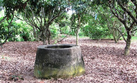 Hiếp dâm bé gái 13 tuổi rồi ném xuống giếng phi tang