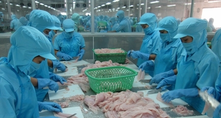 DN nội khó khăn, DN ngoại gây sức ép thâu tóm
