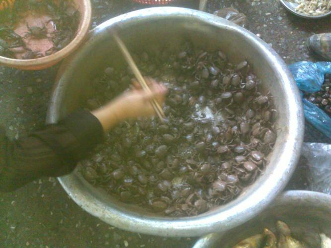 Phù phép cua đồng giả đánh lừa người mua