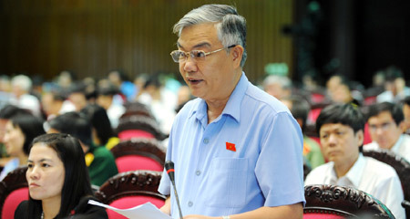 Kiến nghị chưa thông qua Hiến pháp sửa đổi