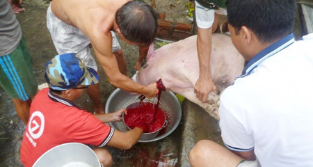 Sợ thịt bẩn: Cả xóm góp tiền mở lò mổ riêng