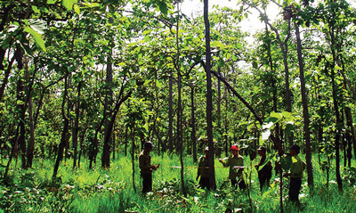 Trốn kiểm lâm, nam thanh niên tử nạn tại VQG Yok Đôn