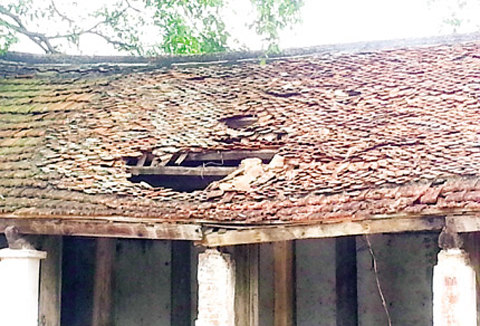 Đợi tu bổ, Chùa Đậu kêu cứu