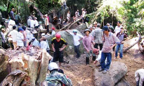 Phó trưởng trại tạm giam bị bắt tạm giam thế nào?