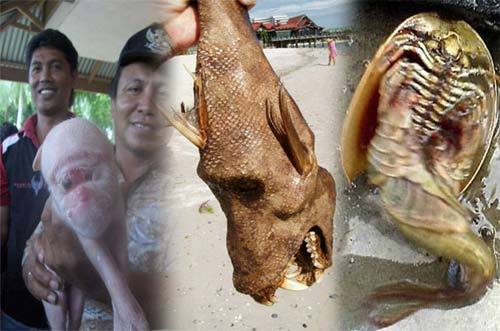 Rùng mình với những quái vật xuất hiện trên trái đất
