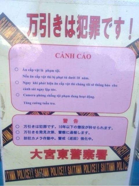 Chuyện ăn cắp vặt có khi lại bắt nguồn từ “sốc văn hóa”