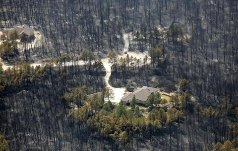 Hình ảnh thế giới sau một tuần cuồng nộ