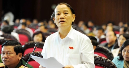 Bỏ không đất quy hoạch, chưa ai bị xử lý