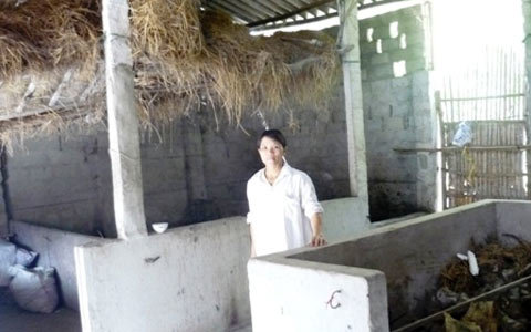 Bức xúc xây chuồng rồi 