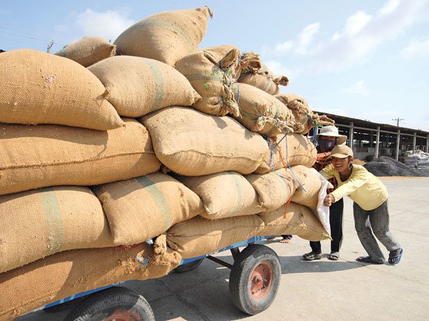 Nhóm lợi ích trong nông nghiệp ở đâu?