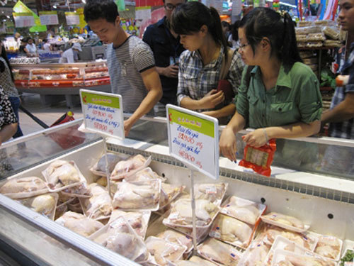 Gà đẻ loại thải Hàn Quốc tái xuất trong siêu thị