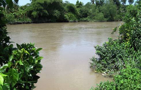 Phá sòng bạc, tạm giữ nghệ sỹ cải lương Kim Tử Long