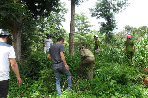 Xác thiếu nữ vùi trên đồi ngô