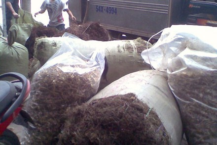 Tràn lan dược liệu Trung Quốc trộn thuốc sâu, tạp chất