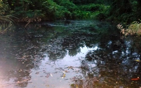 Kinh hãi nước bẩn chảy vào nguồn nước ăn