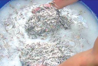 Nhiễm độc mỗi ngày với đồ nhựa bẩn, đông y thuốc sâu