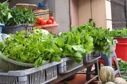 Mẹ đẻ, trẻ nhỏ đang ăn rau ngót nhiễm độc