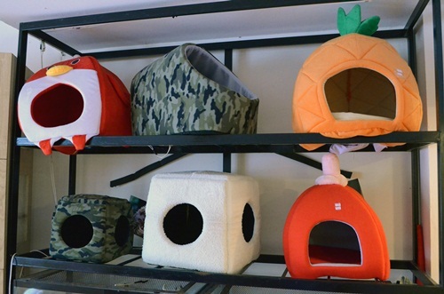 Phụ kiện bạc triệu cho thú cưng tại Hà Nội