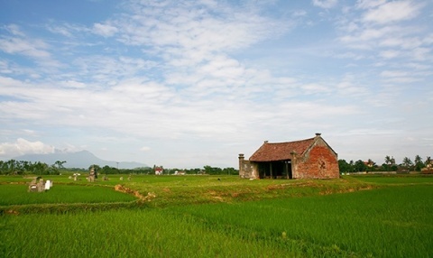 Ông trùm, chân ngắn, chân dài và quê hương