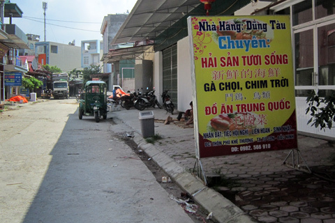phố tàu, trung quốc, quảng cáo, biển hiệu