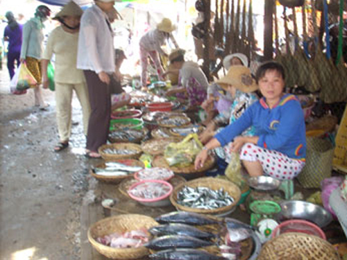 mực, hóa chất, cảnh giác, tôm, cá