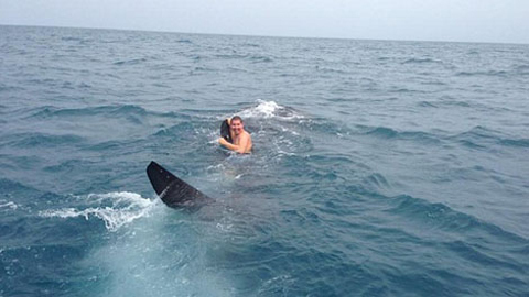 Liều mạng giỡn mặt với quái vật đại dương