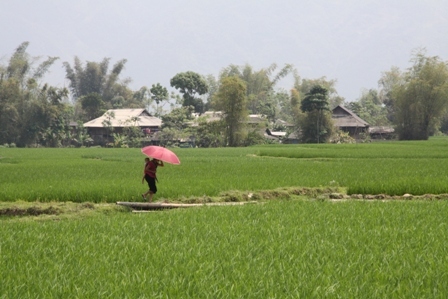 Hà Nội, TP.HCM cấp sổ đỏ chậm nhất nước