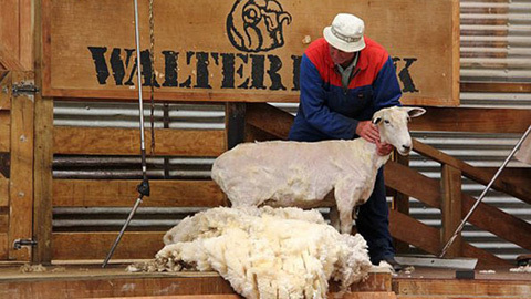 10 kiểu xin visa hài hước nhất thế giới