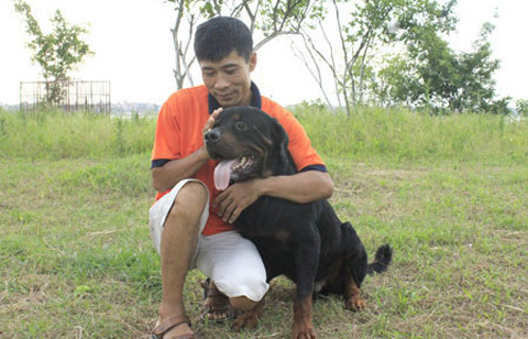 Đại gia mất chó quý, 'cẩu tặc' đòi chuộc giá khủng