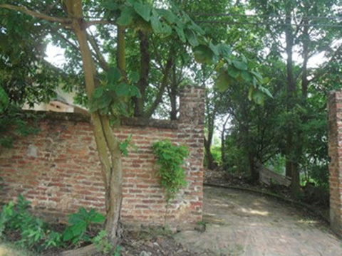 Phó chủ tịch tắt điện 