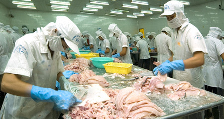Đại gia cá tôm chết cạn