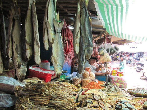 cá, bẩn, nhiễm độc