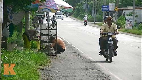 nhậu, đọc, hoang dã, chuột