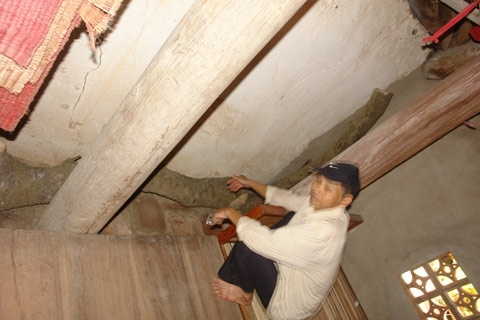 Những vụ trộm sưa táo tợn