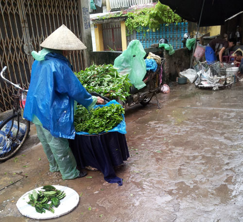 Mưa bão, thực phẩm tăng giá gấp 2 -3 lần