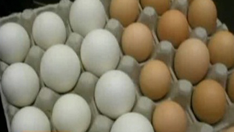 Lo ngay ngáy trứng trắng bóc, tẩm hoá chất cực độc