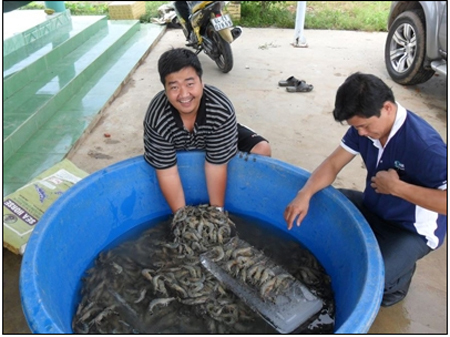 Tiến sĩ trẻ say mê chữa bệnh cho tôm