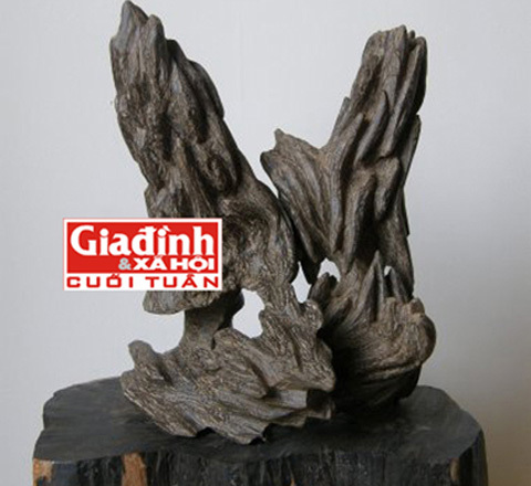 Đại gia chi tiền tỷ hút trầm hương tăng cường sinh lực