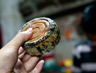 Rộ lên tin đồn bánh trung thu Trung Quốc kém chất lượng